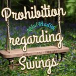 🎗Prohibition regarding swings